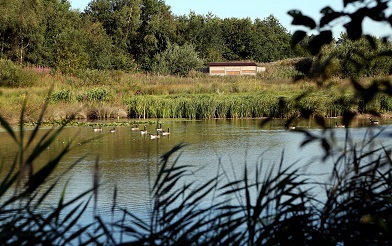 Fosse Meadows